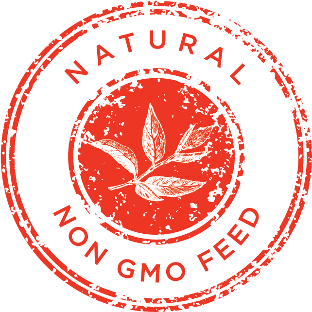 Close - Circle (720x718), Png Download