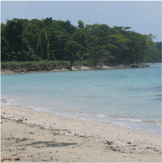 1 Jamaica Pic 1 - Beach Ridge (1200x675), Png Download