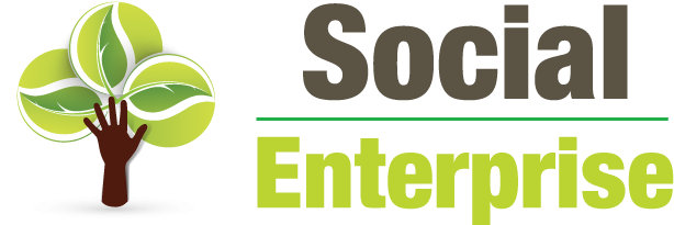 Social Enterprise Png - Het Sociale Brein Eveline Crone (650x250), Png Download