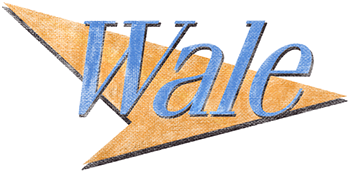 The Album About Nothing - Wale (600x325), Png Download