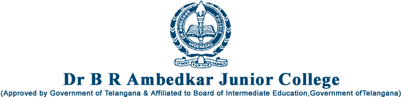 Baddi University Of Emerging Sciences And Technologies - Dr Br Ambedkar Junior College Logo (785x199), Png Download