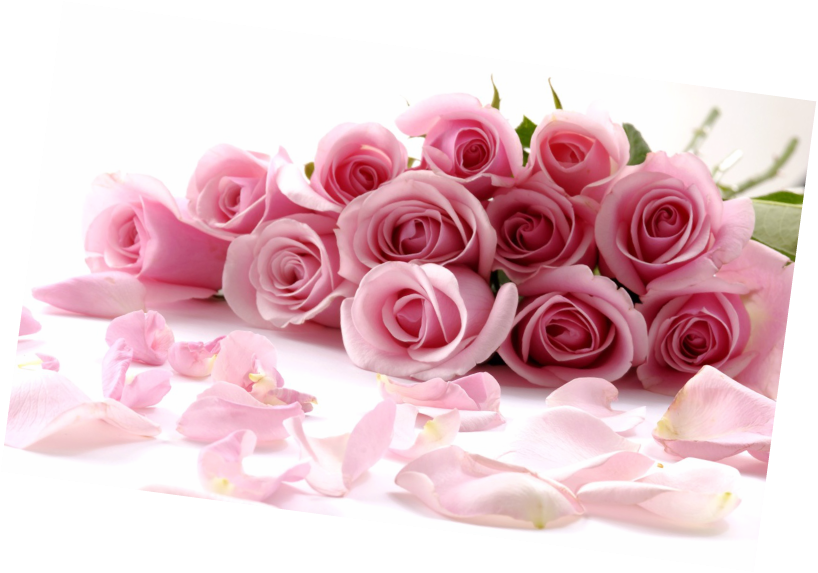 Beautiful Wallpapers For Desktop Of Roses (818x573), Png Download