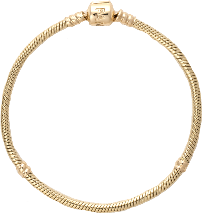 Bracelet (750x750), Png Download