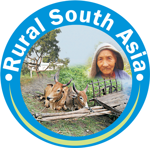 White Mountain Pool & Spa (591x576), Png Download