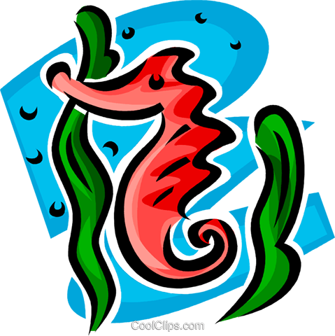 Sea Horse Royalty Free Vector Clip Art Illustration - Graphic Design (479x480), Png Download