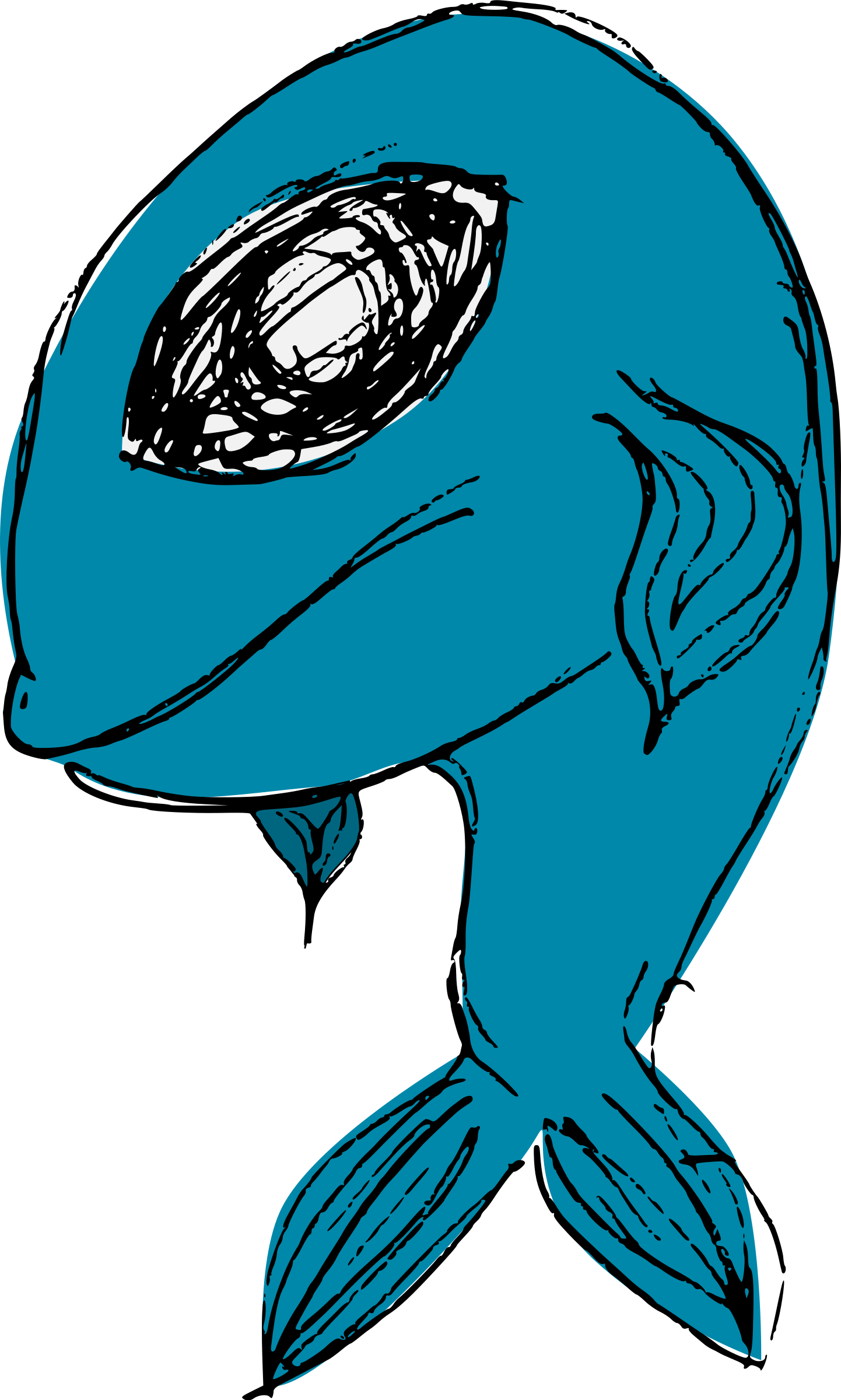 Fish,seafood,whale,sea Creature,free Vector Graphics,free - Vector Graphics (769x1280), Png Download