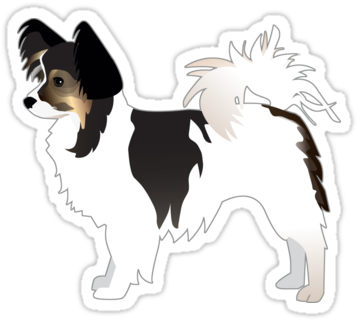 Image Black And White Library Tri Color Basic Breed - Chihuahua (375x360), Png Download