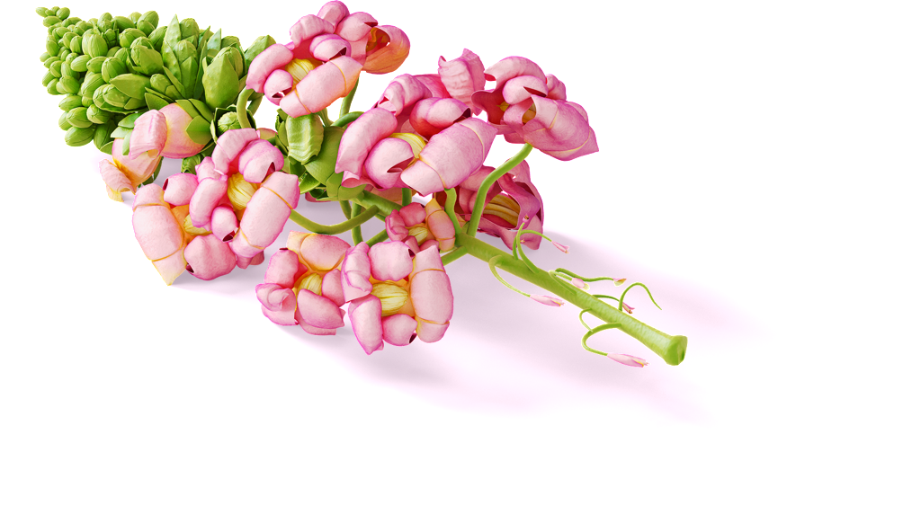 Flower Bouquet Cartoon Transparent - Girly Stationery Mockup Creator Free (1024x582), Png Download