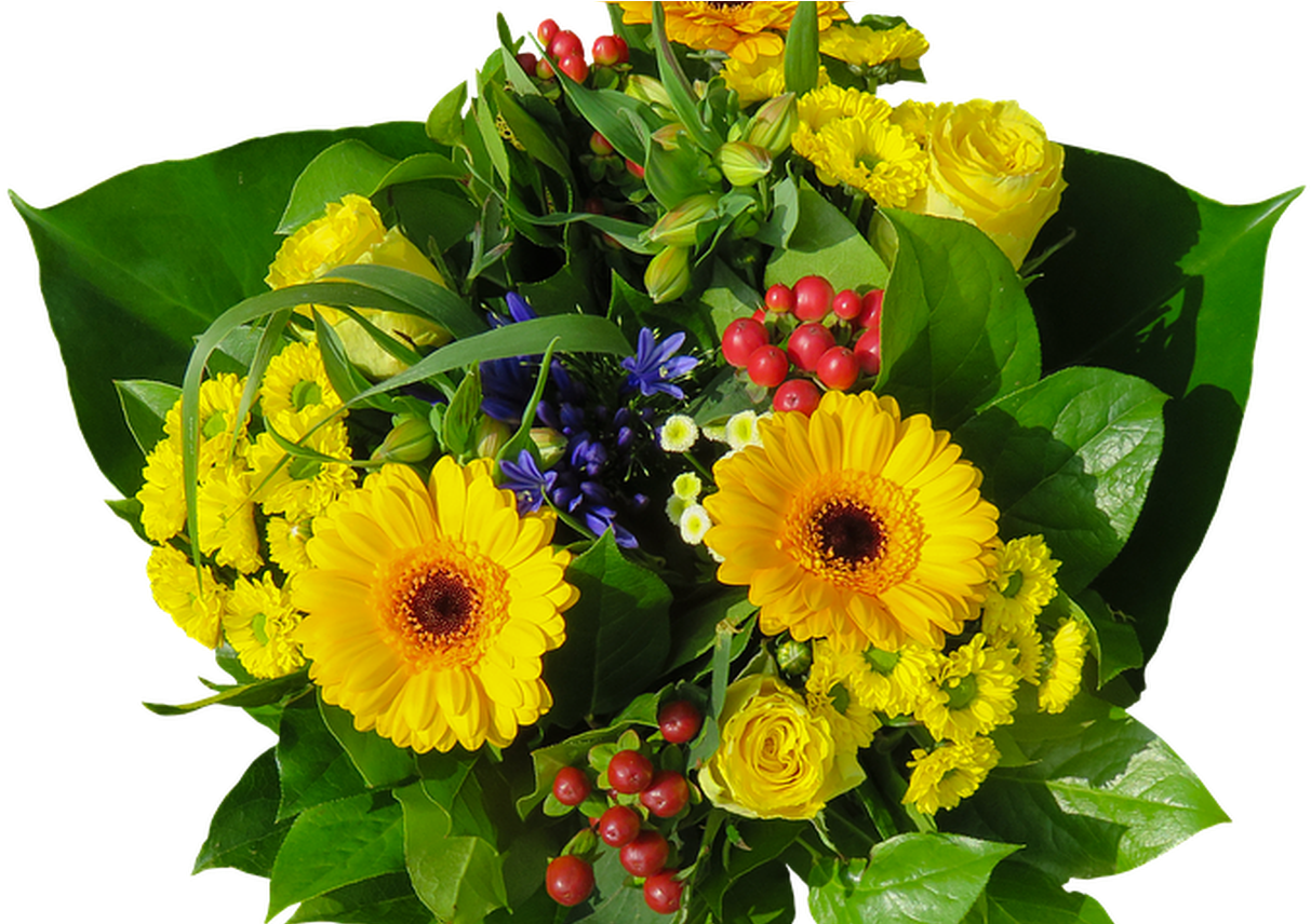Flowers Bouquet Isolated Floral Free Photo On Pixabay - Flower Gimtadienio Proga Sveikinimai Su Gimtadieniu (1368x855), Png Download