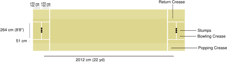 Image - Cricket Pitch - Svg - Cricket Pitch Size In Inches (800x229), Png Download