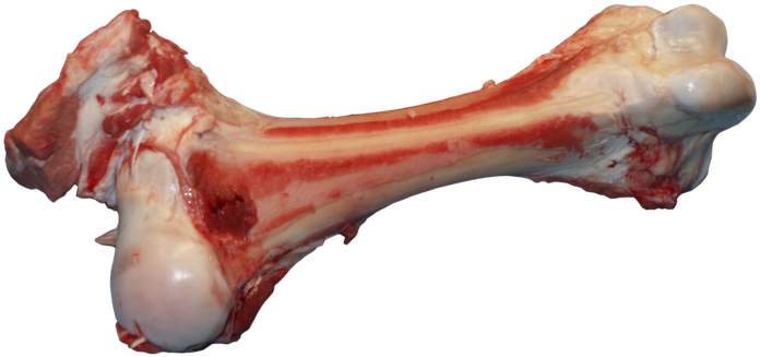 Bone Png - Meat Bones Png (700x350), Png Download