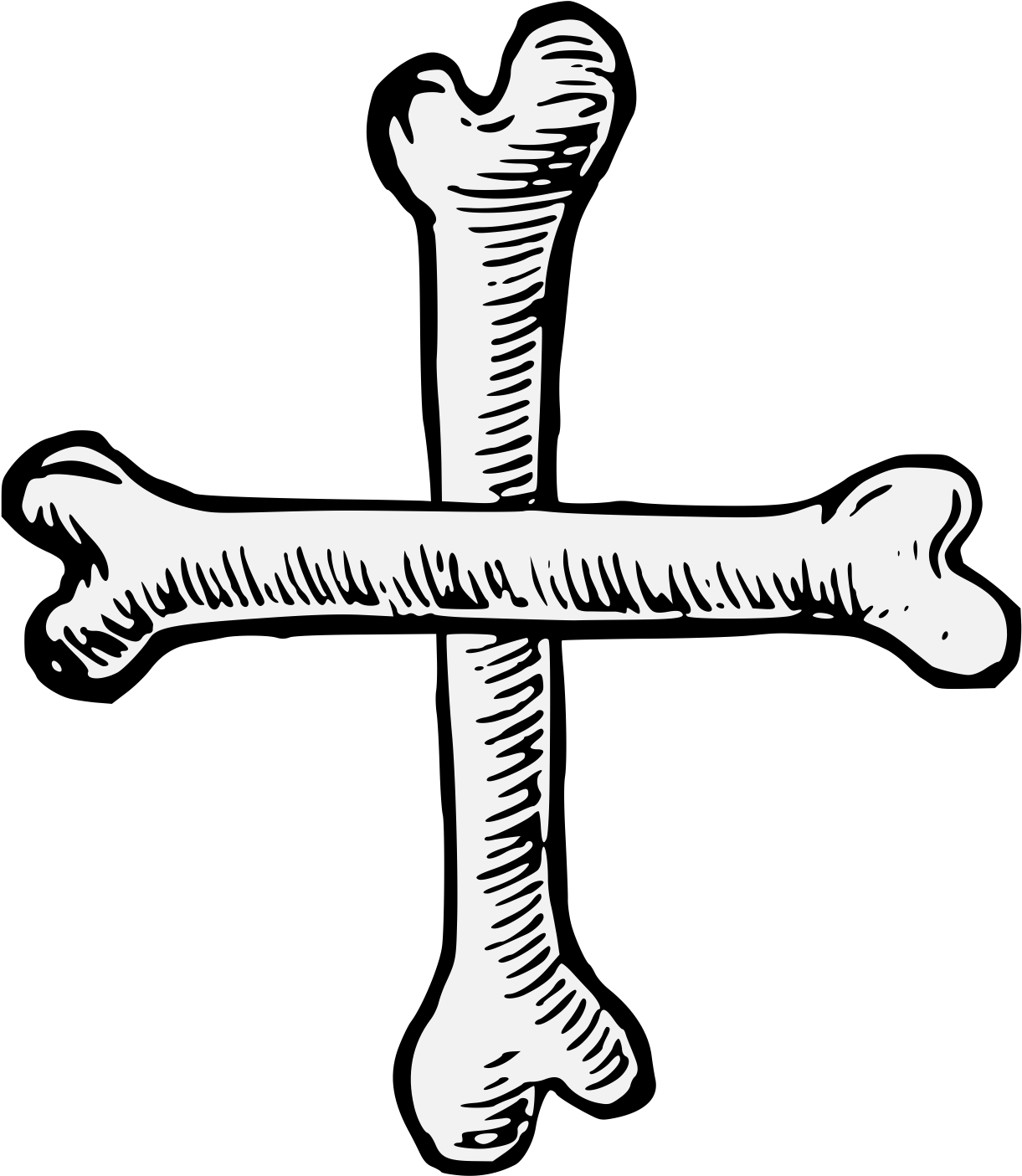 Details, Png - Bone (1240x1420), Png Download