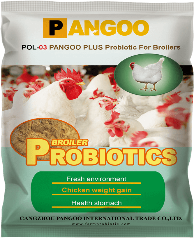 Poultry Probiotics For Broiler - Broiler Growth Promoter (1000x1000), Png Download