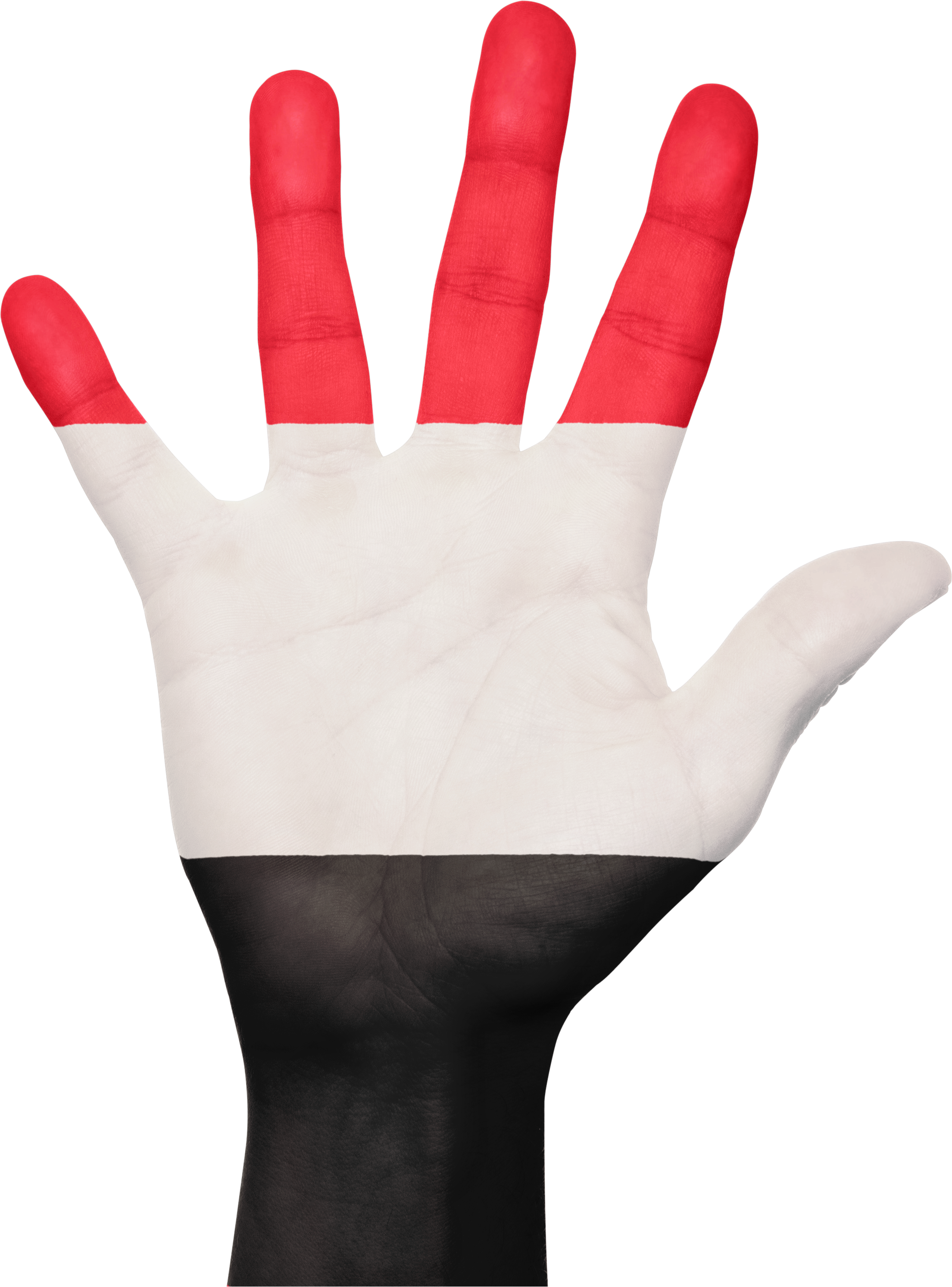 Yemen Flag Hand Country Symbol 649026 - Afghanistan Flag Hd (2209x2987), Png Download