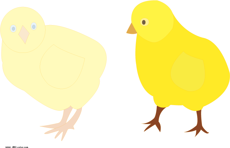 Chicken (822x567), Png Download