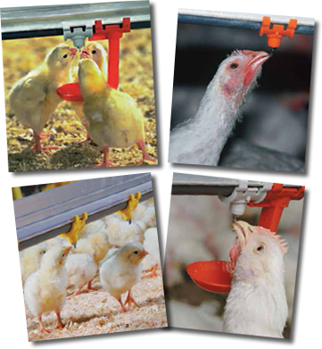 Contact Us For Information - Nipple Drinker (361x391), Png Download