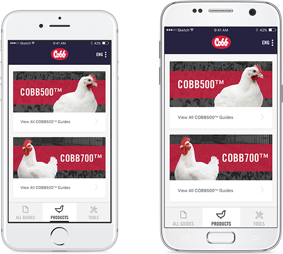 Available On Google Play And The App Store - Cobb Vantress Inc (578x514), Png Download