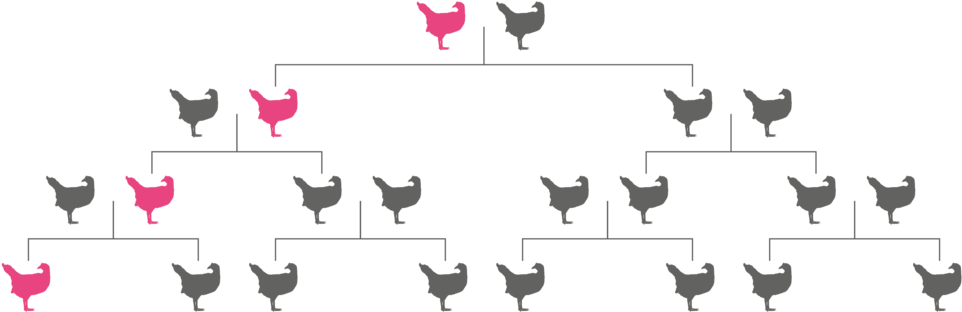 Pink Gene Doesn't Spread - Gene Drive (1000x395), Png Download
