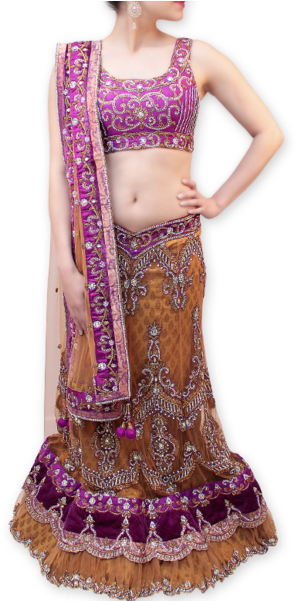Pin By Aradhana Chauhan On Achha - Transparent Fancy Saree Png (463x600), Png Download