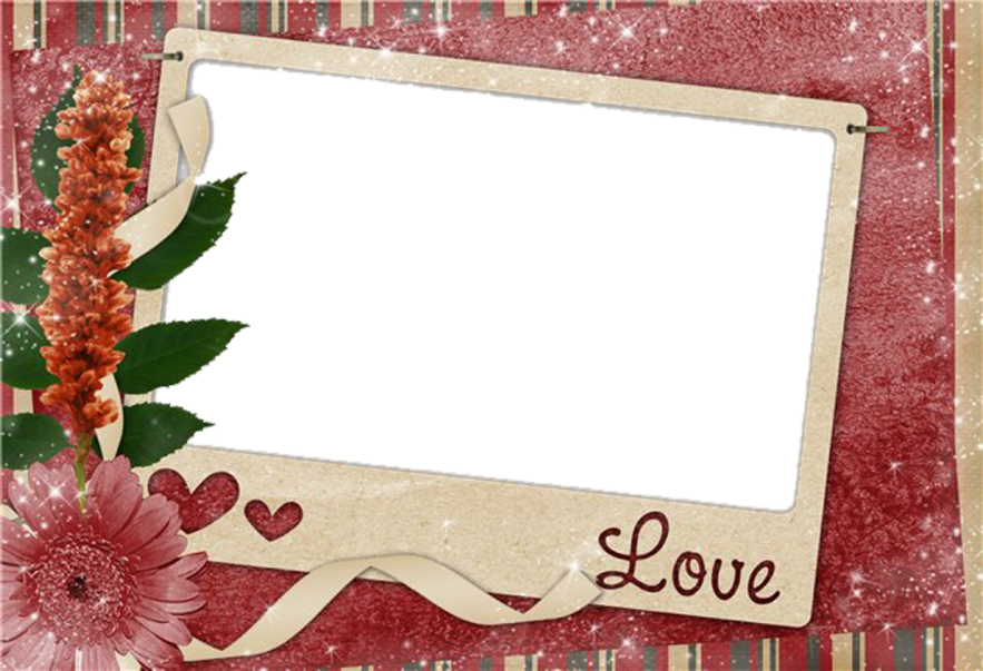 Download - Qty 10: So Much Love (883x603), Png Download