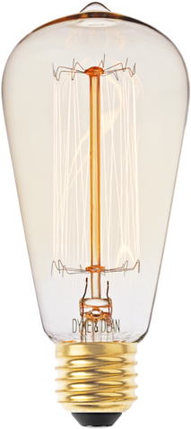 Squirrel Cage Edison Filament Bulb 60w - Incandescent Light Bulb (480x480), Png Download