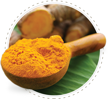 The High Quality Difference - Turmeric (450x440), Png Download