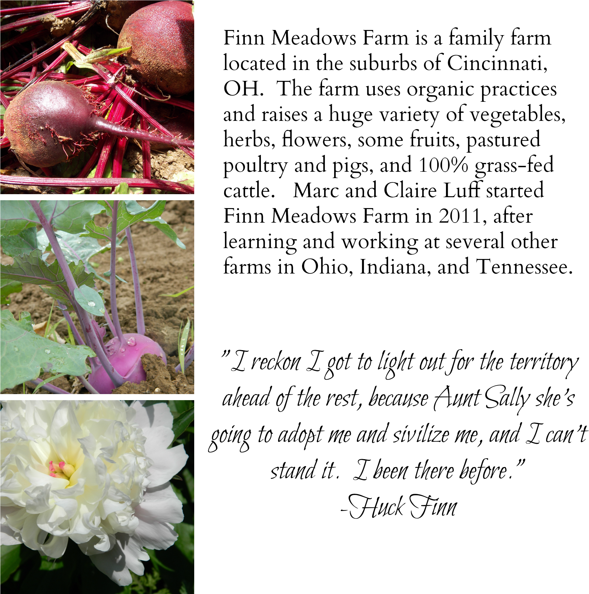 Web Experiment2 - Finn Meadows Farm (2000x2000), Png Download