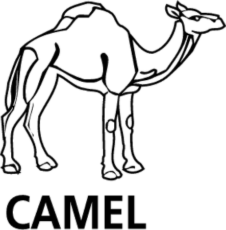 Camel Vector Logo (443x450), Png Download
