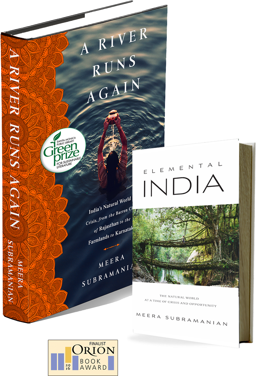 A River Runs Again - Elemental India : The Natural World In Crisis (917x1319), Png Download