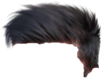 New Cb Hair Png - Hair Png Hd (472x331), Png Download