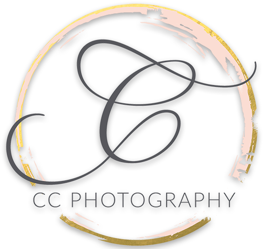 Real Estate Photography - Circle (550x507), Png Download