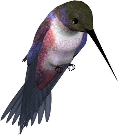 Clip Royalty Free Library Bird Eurasian Magpie Clip - Bird (600x600), Png Download