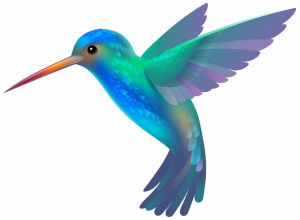 Kingfisher Bird Png Image - Hummingbird Png (600x440), Png Download
