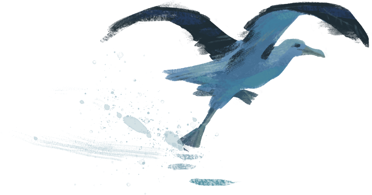 Sea Take Off - Sea (1607x860), Png Download