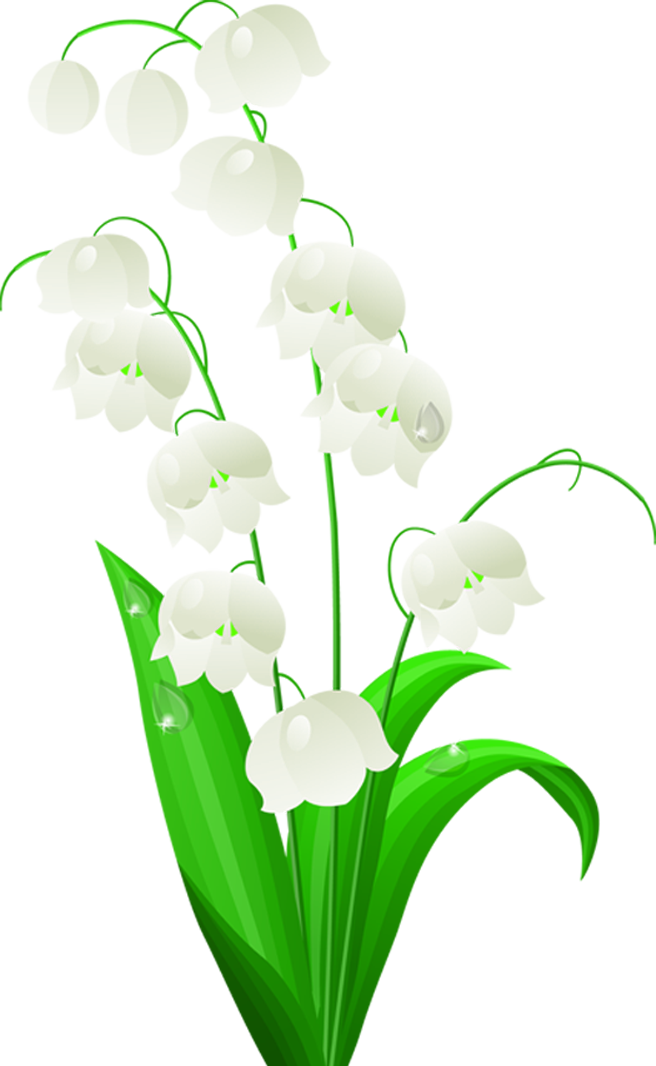 Lily Of The Valley Tattoo Lilium Japan - Lily Of The Valley Outline (656x1066), Png Download