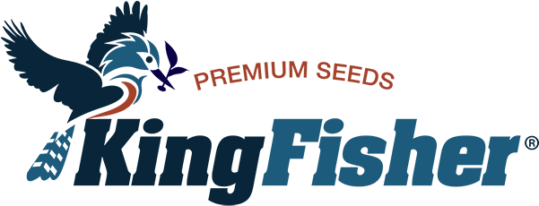 Kingfisher Logo - Kingfisher Seed Logo (600x244), Png Download