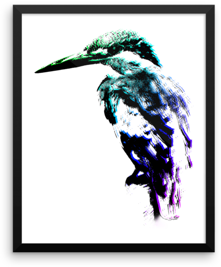 Laughing Kookaburra (600x600), Png Download