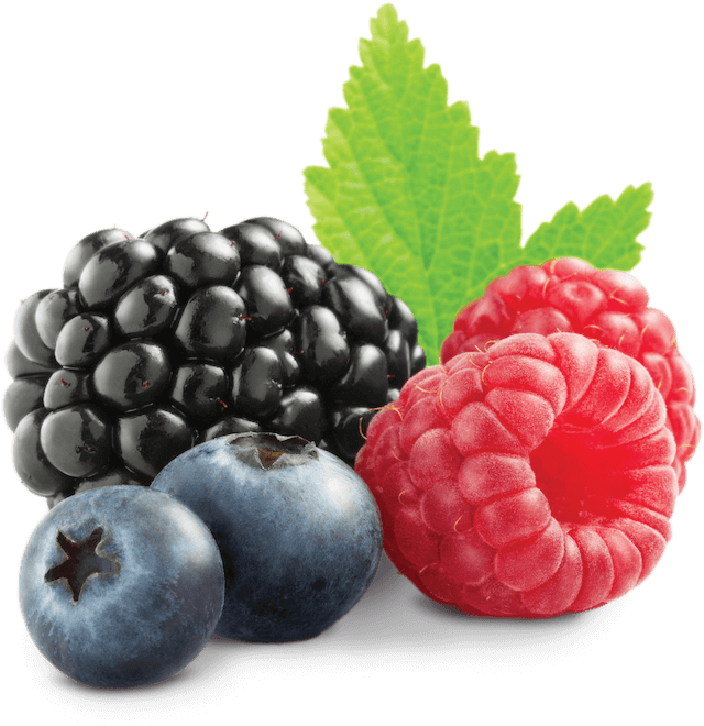 Clip Royalty Free Fruit Transparent Berry - Summer Berries (800x809), Png Download