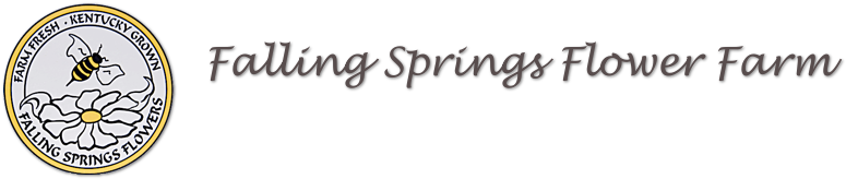 Cut Flowers - Calligraphy (799x178), Png Download