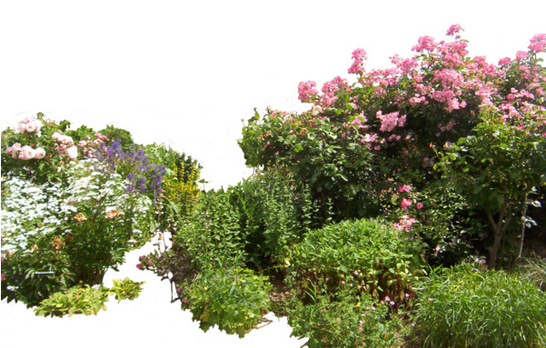 Flowered By Hermitcrabstock On Clip - Garden Png (600x453), Png Download