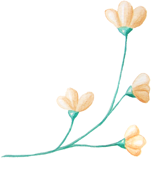 Pink Flowers Transparent Decorative Material - Yellow (650x679), Png Download