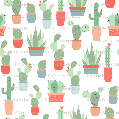 Cactus Garden - Transparent Background - Prickly Pear (400x400), Png Download