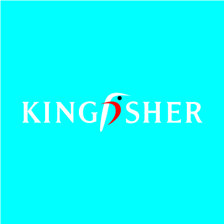 Report - Kingfisher (478x478), Png Download
