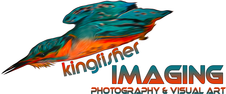 Kingfisher Imaging - Illustration (1000x1000), Png Download