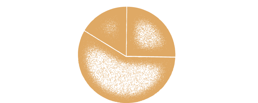 This Chart Represents A One Year Period - Circle (1000x360), Png Download