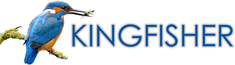 Kingfisher Logo Design (979x291), Png Download