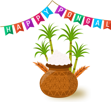 Commercial Use Happy Pongal Wishes, Happy Pongal, Wish - Thai Pongal Images Png (360x360), Png Download
