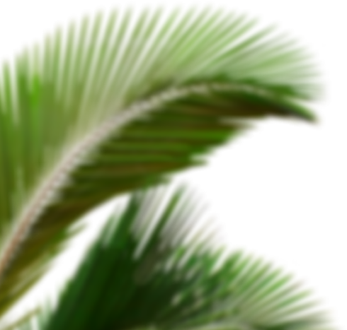 Taste Of Original - Close-up (490x467), Png Download