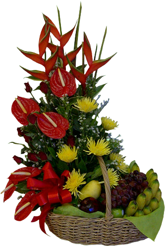 Send Gift Basket Of Fruits And Flowers To Manila - Manila (500x500), Png Download