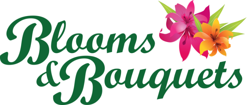 Store Logo Store Logo - Ring, Custom Order For S (800x341), Png Download